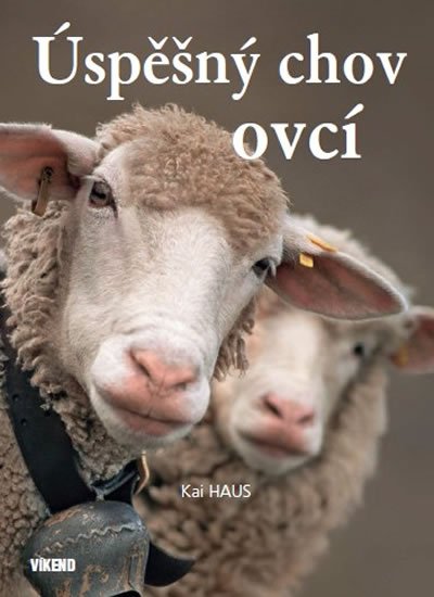 Haus Kai: Úspěšný chov ovcí Haus Kai: Úspěšný chov ovcí