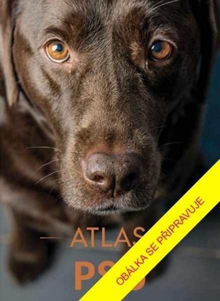 -: Atlas psů