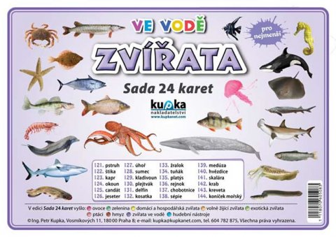 Kupka Petr: Sada 24 karet - zvířata ve vodě (A5)