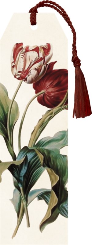 -: Knižní záložka Tulip