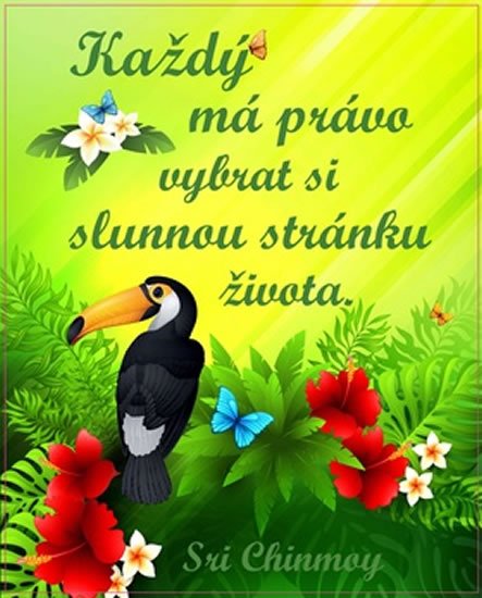 Chinmoy Sri: Plechová cedulka - Každý má právo vybrat si slunnou stránku života Chinmoy Sri: Plechová cedulka - Každý má právo vybrat si slunnou stránku života