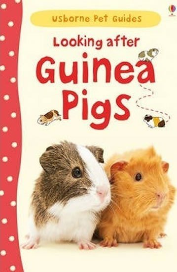 Howell Laura: Looking After Guinea Pig