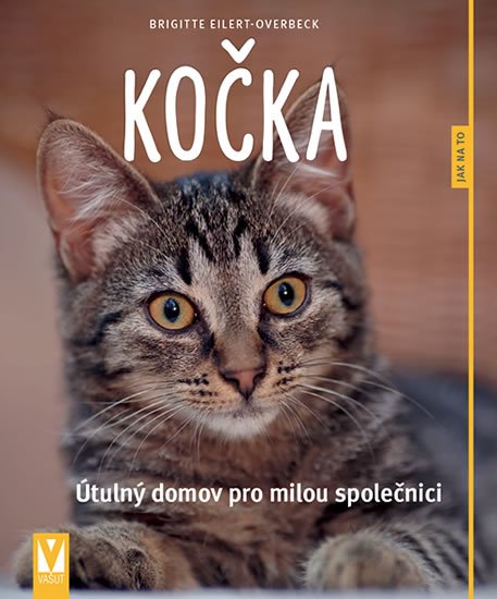 Eilert-Overbeck Brigitte: Kočka - Jak na to