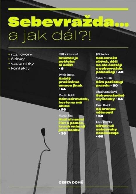 Scheinostová Alena: Sebevražda... a jak dál?! Scheinostová Alena: Sebevražda... a jak dál?!