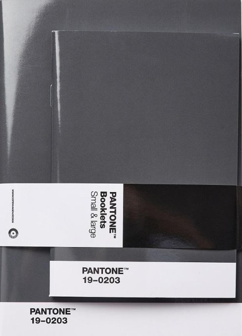 neuveden: Pantone Zápisník tečkovaný, 2 velikosti - Grey 19-0203