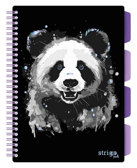 : Blok SP B5, 100l, 80g, linka - Panda