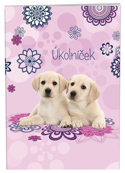 neuveden: Úkolníček A6: Best Friends