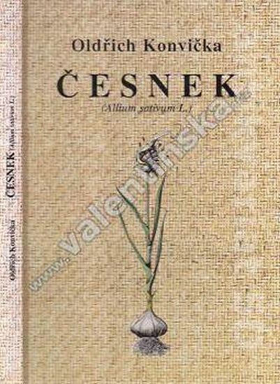 Konvička Oldřich: Česnek (Allium sativum L.)
