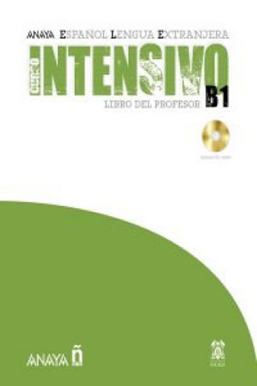 Martinéz Angeles Alvarez: Anayaele Intensivo B1: Libro del Profesor