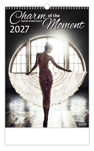 : Kalendář nástěnný 2027 - Charm of the Moment