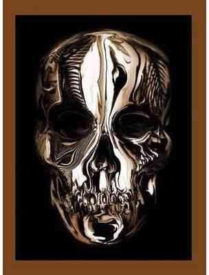 Bolton Andrew: Alexander McQueen : Savage Beauty