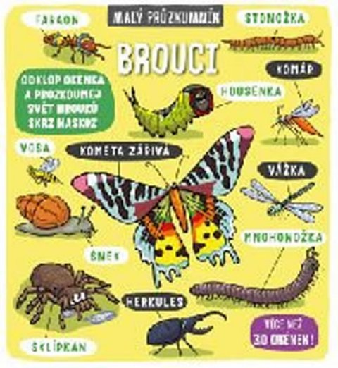 neuveden: Brouci - Malý průzkumník neuveden: Brouci - Malý průzkumník