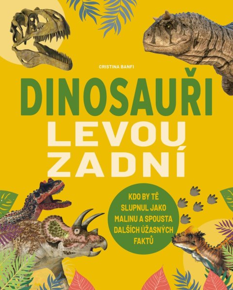 : Dinosauři levou zadní