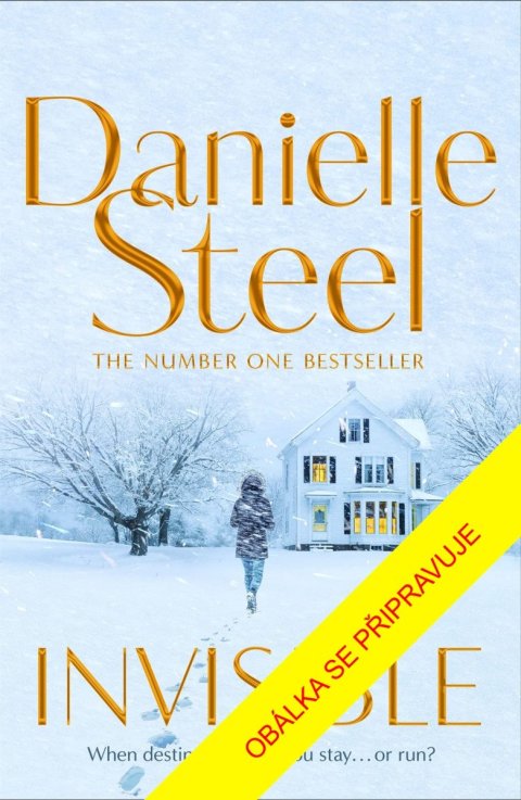 Steel Danielle: Neviditelná