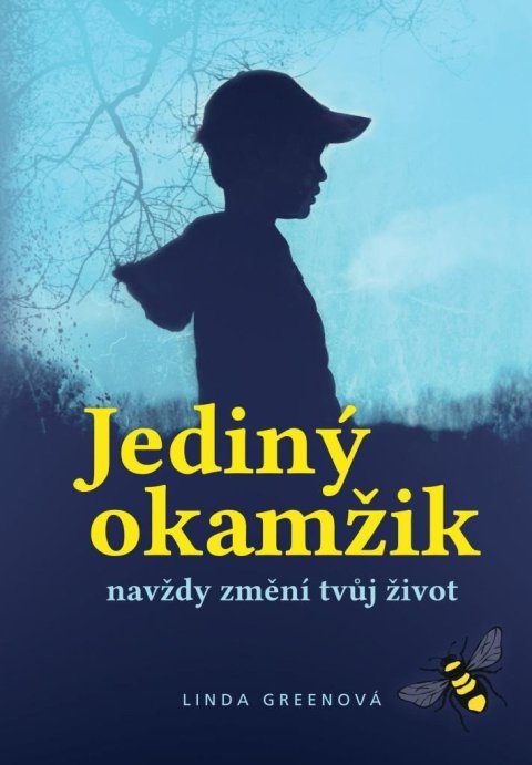 Greenová Linda: Jediný okamžik navždy změní tvůj život Greenová Linda: Jediný okamžik navždy změní tvůj život