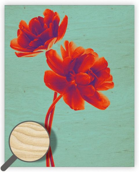 neuveden: Obraz dřevěný: Tulip, 240x300