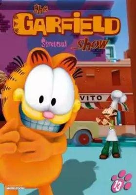 neuveden: Garfield 13 - DVD slim box