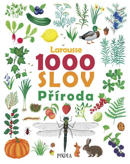 kolektiv autorů: 1000 slov – Příroda kolektiv autorů: 1000 slov – Příroda