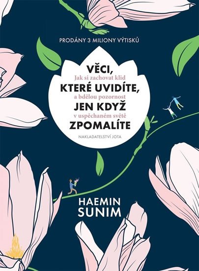 Sunim Haemin: Věci, které uvidíte, jen když zpomalíte Sunim Haemin: Věci, které uvidíte, jen když zpomalíte
