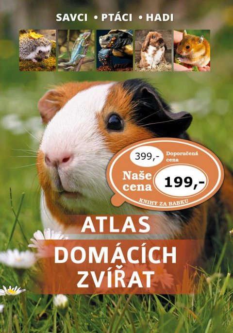 Uglorz Manfred: Atlas domácích zvířat