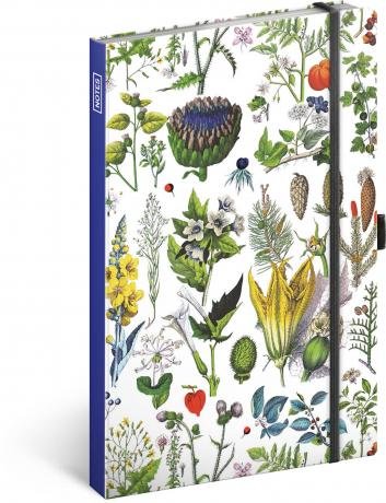 neuveden: Notes Bylinky Kateřiny Winterové, linkovaný, 13 × 21 cm