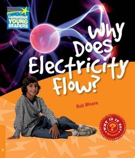 Moore Rob: Cambridge Factbooks 6: Why does electricity flow?