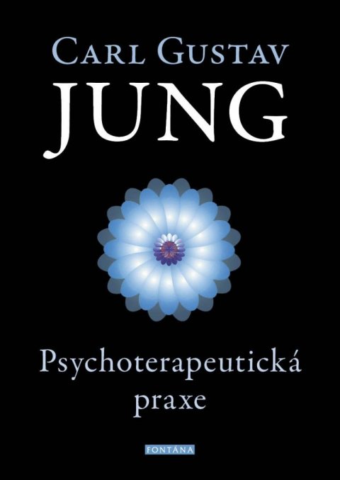Jung Carl Gustav: Psychoterapeutická praxe Jung Carl Gustav: Psychoterapeutická praxe