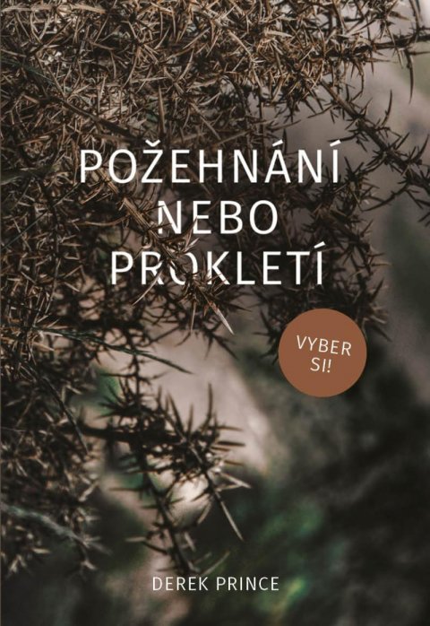 Prince Derek: Požehnání nebo prokletí, vyber si!