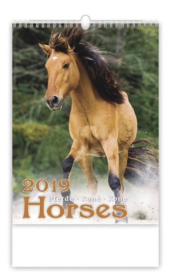 neuveden: Kalendář nástěnný 2019 - Horses/Pferde/Koně/Kone