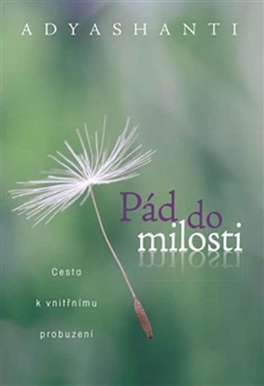 Adyashanti: Pád do milosti - Cesta k vnitřnímu probuzení Adyashanti: Pád do milosti - Cesta k vnitřnímu probuzení
