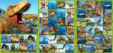neuveden: Dinosaurus - Pexeso