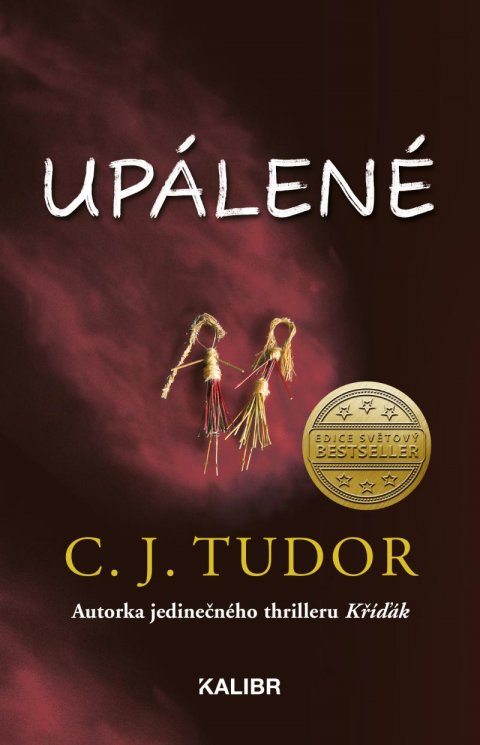 Tudor C. J.: Upálené Tudor C. J.: Upálené