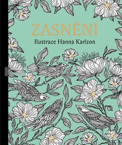 Karlzon Hanna: Zasnění - Antistresové omalovánky