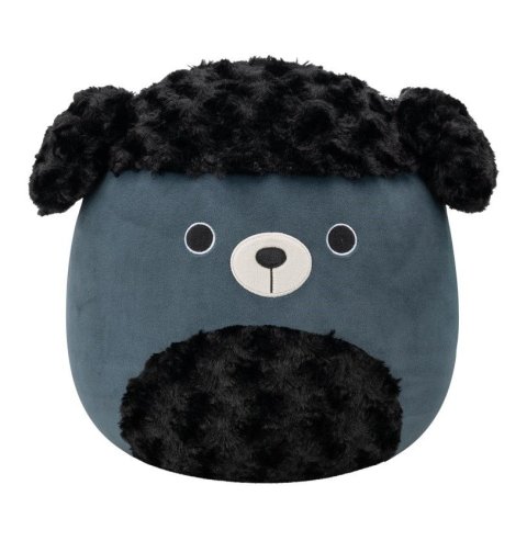 neuveden: Squishmallows Pudl - Jettward 30 cm