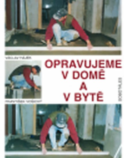 Hájek Václav: Opravujeme v domě a bytě Hájek Václav: Opravujeme v domě a bytě