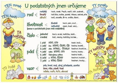 neuveden: U podstatných jmen určujeme / Výjimky u podstatných jmen (karta)