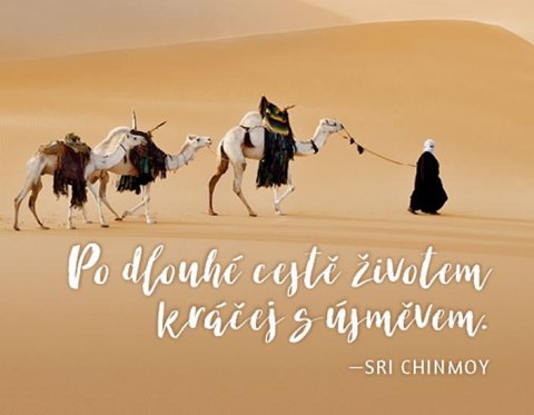Chinmoy Sri: Magnet na lednici - Po dlouhé cestě životem kráčej s úsměvem. Chinmoy Sri: Magnet na lednici - Po dlouhé cestě životem kráčej s úsměvem.