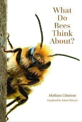 Lihoreau Mathieu: What Do Bees Think About?