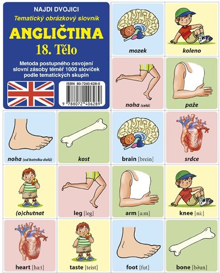 kolektiv autorů: Najdi dvojici - Angličtina - 18. Tělo kolektiv autorů: Najdi dvojici - Angličtina - 18. Tělo