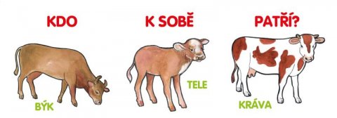 neuveden: Kdo k sobě patří? neuveden: Kdo k sobě patří?