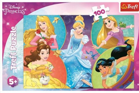 neuveden: Trefl Puzzle Disney princezny: Setkání sladkých princezen 100 dílků