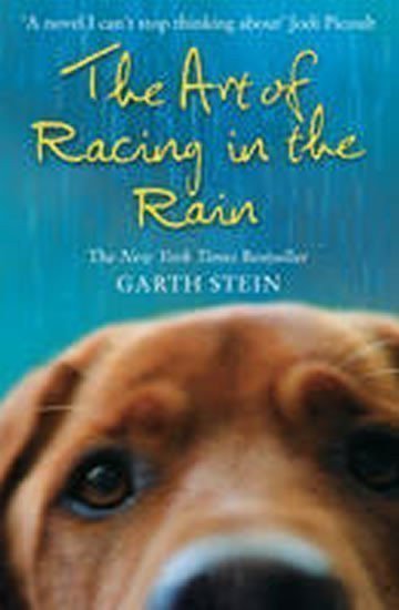 neuveden: The Art of Racing in the Rain