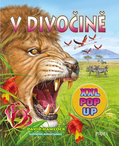 Hawcock David: V divočině Hawcock David: V divočině