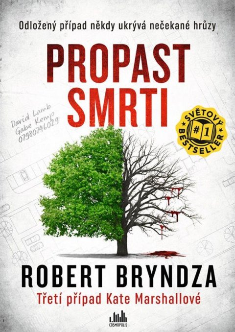 Bryndza Robert: Propast smrti Bryndza Robert: Propast smrti