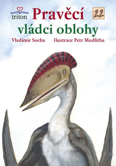 Socha Vladimír: Pravěcí vládci oblohy