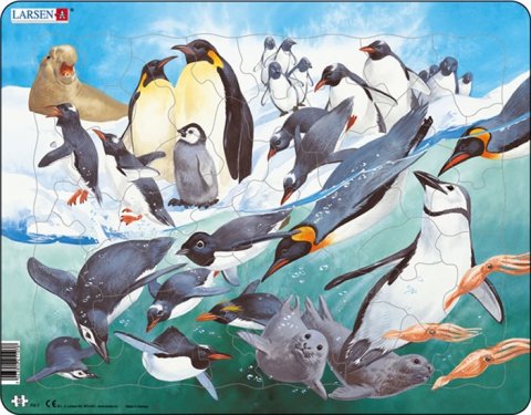 neuveden: Puzzle MAXI - Tučňáci/50 dílků