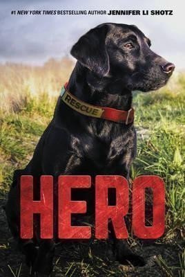 Shotz Jennifer Li: Hero