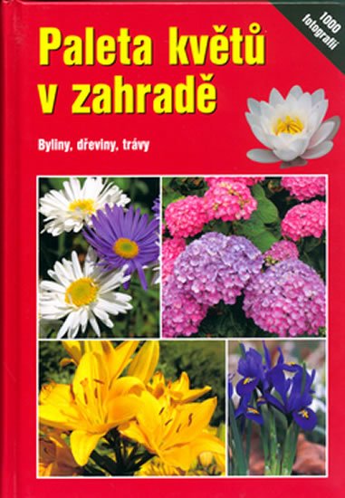 Throll Angelika: Paleta květů v zahradě Throll Angelika: Paleta květů v zahradě