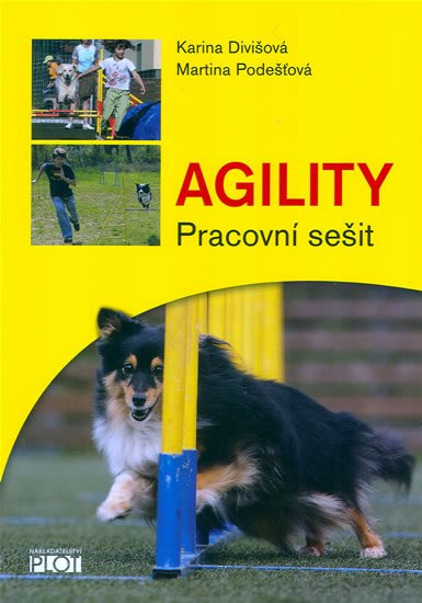 Divišová Karina: Agility - Pracovní sešit Divišová Karina: Agility - Pracovní sešit