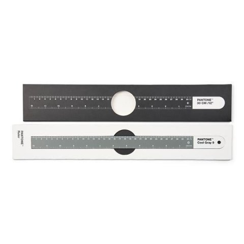 neuveden: Pantone Pravítko 30 cm - Cool Gray 9